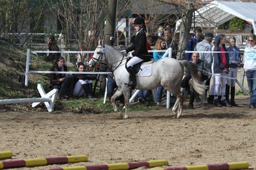 Bild 1178 - WBO-Turnier am 9.4.11